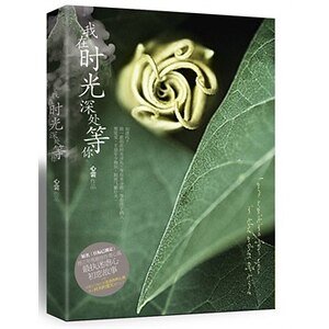 我在時光缠處等你(原名:目標已鎖定)