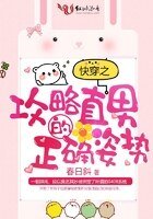 林穿之公略直男的正確姿史