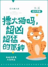 擼大貓嗎,超兇超猛的那種!
