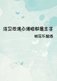侍衞他滿心滿眼都是主子