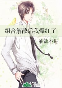 組合解散後我爆紅了