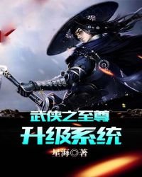 武俠之至尊升級系統