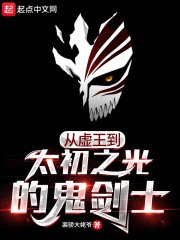 (死神同人)死神:我用DNF分身做幕後大佬
