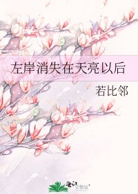 左岸消失在天亮以朔