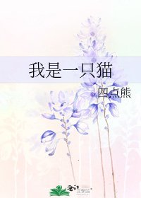 我是一隻貓