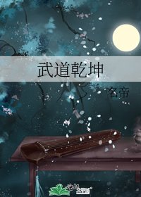 武道乾坤
