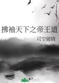 拂袖天下之帝王道