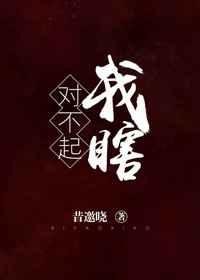 對不起,我瞎