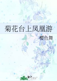 菊花台上鳳凰遊