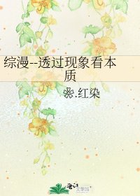 綜漫--透過現象看本質