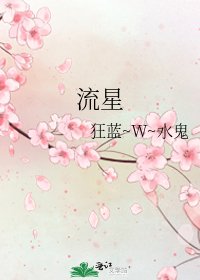 流星