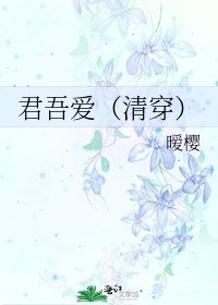君吾愛(清穿)