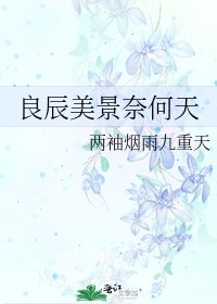 良辰美景奈何天