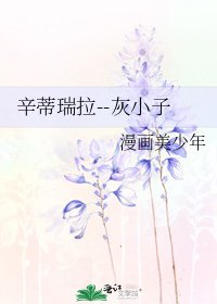辛蒂瑞拉--灰小子