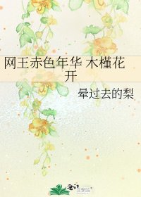 網王赤色年華 木槿花開