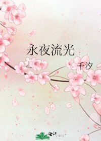 永夜流光