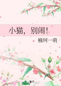 小貓,別鬧!