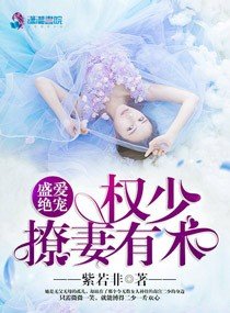 盛愛絕寵之萌妻有點甜/盛愛絕寵:權少撩妻有術
