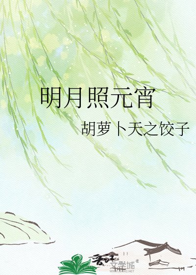 明月照元宵