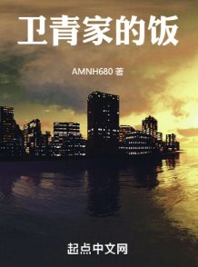 衞青家的飯