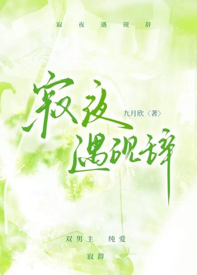 寂夜遇硯辭