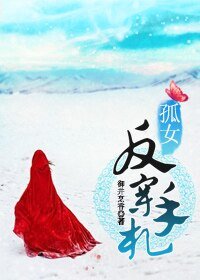盛世反穿手札/孤女反穿手札