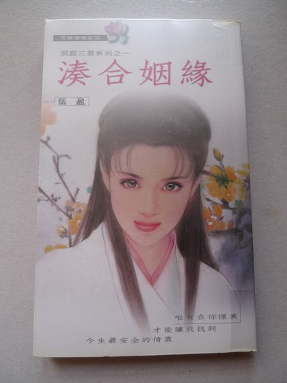 湊合姻緣(洞庭三君系列之一)