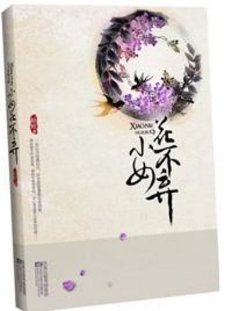 乞丐丫鬟古代尋情記:不棄(網絡版)